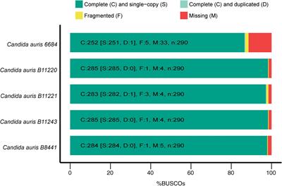 Genome-wide scan for potential CD4+ T-cell vaccine candidates in Candida auris by exploiting reverse vaccinology and evolutionary information